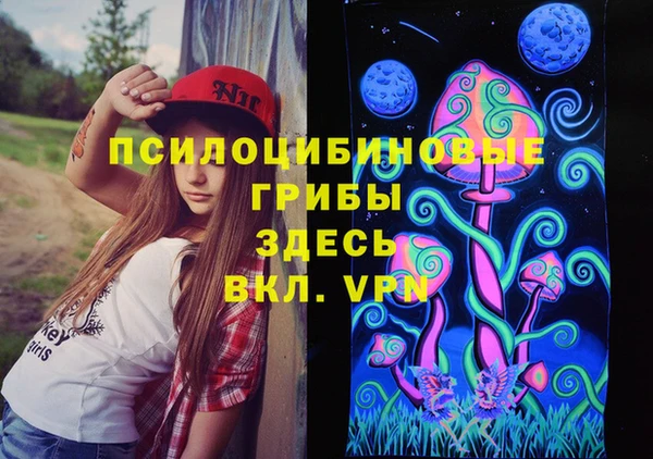 гидропоника Алексеевка