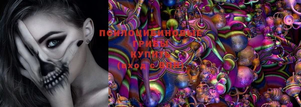 гидропоника Алексеевка