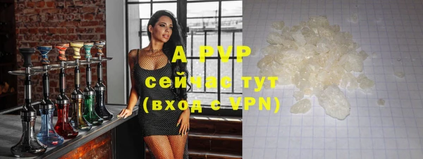 прущие крисы Алзамай